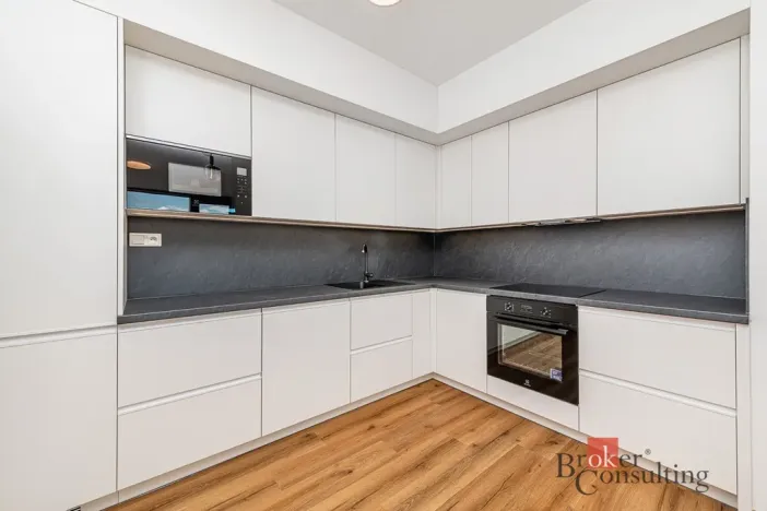 Pronájem bytu 2+kk, Plzeň - Jižní Předměstí, Železná, 66 m2