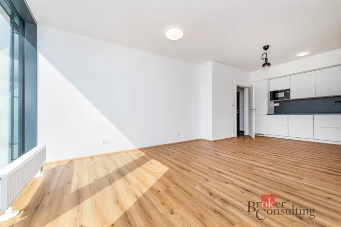 Pronájem bytu 2+kk, Plzeň - Jižní Předměstí, Železná, 66 m2