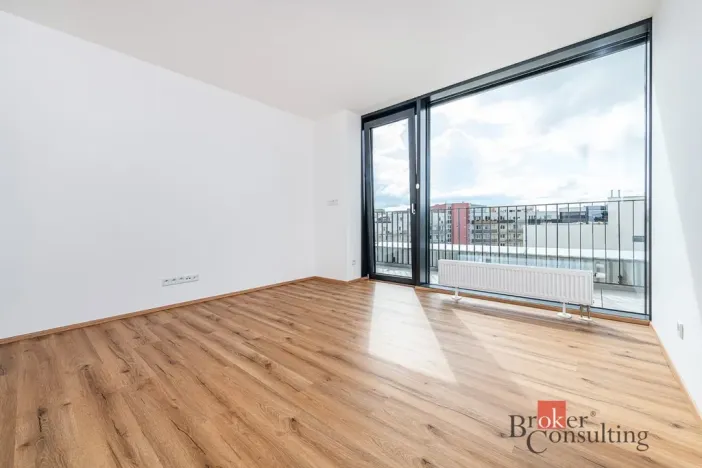 Pronájem bytu 2+kk, Plzeň - Jižní Předměstí, Železná, 66 m2