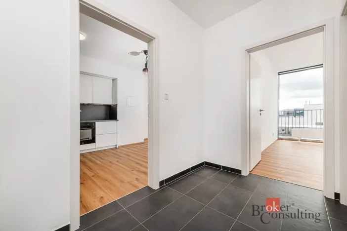 Pronájem bytu 2+kk, Plzeň - Jižní Předměstí, Železná, 66 m2