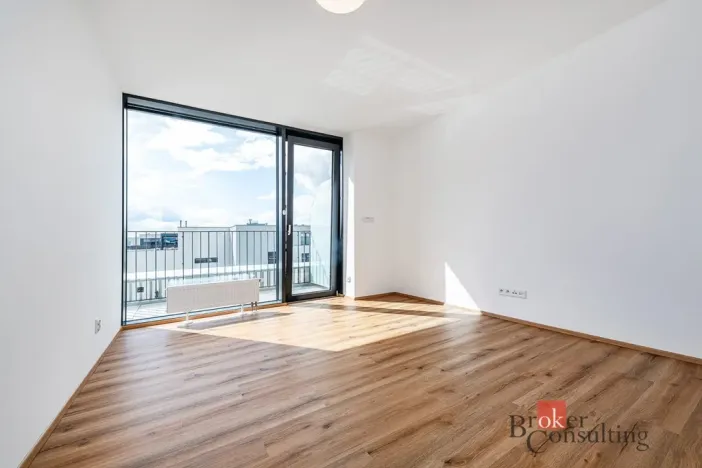Pronájem bytu 2+kk, Plzeň - Jižní Předměstí, Železná, 66 m2