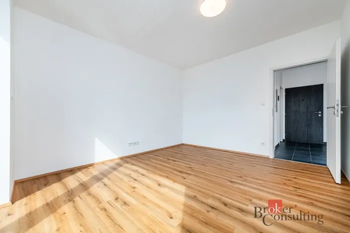 Pronájem bytu 2+kk, Plzeň - Jižní Předměstí, Železná, 66 m2