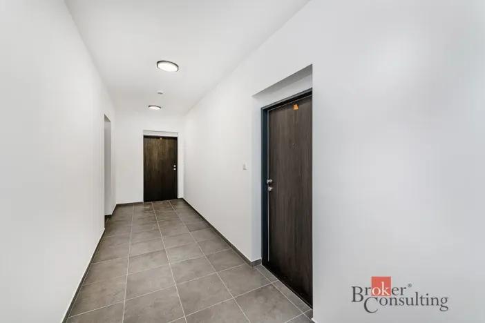 Pronájem bytu 2+kk, Plzeň - Jižní Předměstí, Železná, 66 m2