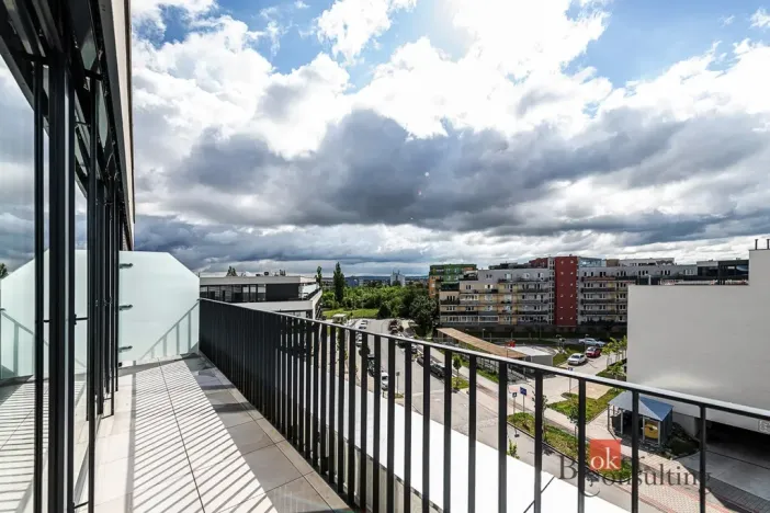 Pronájem bytu 2+kk, Plzeň - Jižní Předměstí, Železná, 66 m2