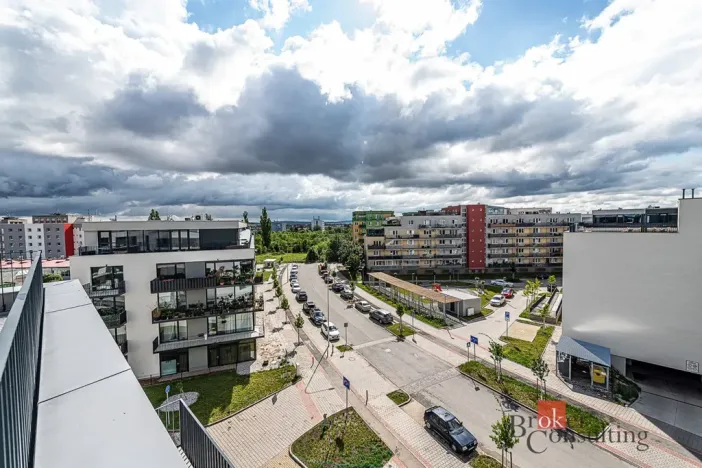 Pronájem bytu 2+kk, Plzeň - Jižní Předměstí, Železná, 66 m2