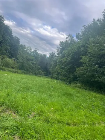Prodej pozemku pro bydlení, Jedlá, 2598 m2