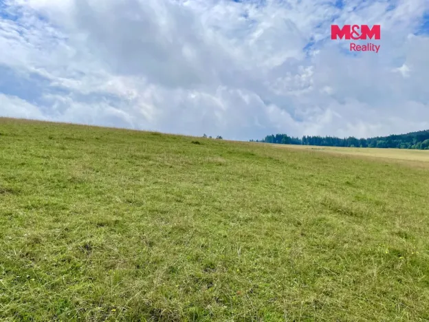 Prodej louky, Bartošovice v Orlických horách, 22170 m2