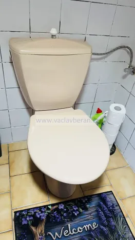 Prodej rodinného domu, Dlouhá Třebová, Ústecká, 146 m2