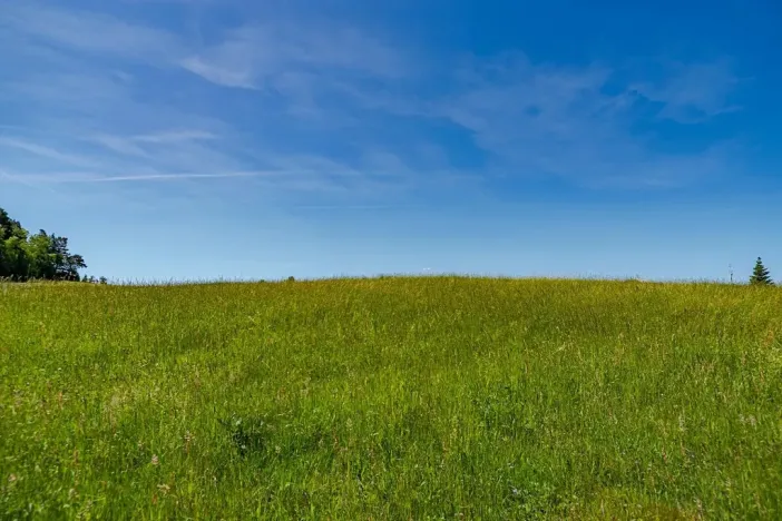 Prodej pozemku pro bydlení, Budislav, 1475 m2
