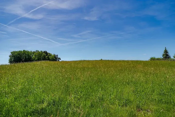 Prodej pozemku pro bydlení, Budislav, 1475 m2
