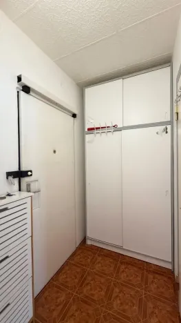 Pronájem bytu 1+kk, Praha - Podolí, Kaplická, 33 m2