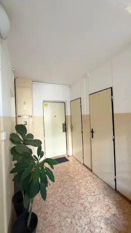 Pronájem bytu 1+kk, Praha - Podolí, Kaplická, 33 m2