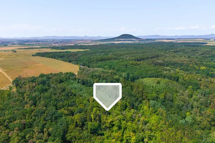 Prodej lesa, Jeviněves, 2859 m2