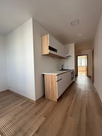 Pronájem bytu 2+1, Písek, nábřeží 1. máje, 64 m2