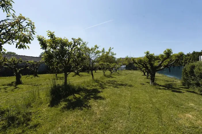 Prodej rodinného domu, Dašice, Nábřeží, 120 m2