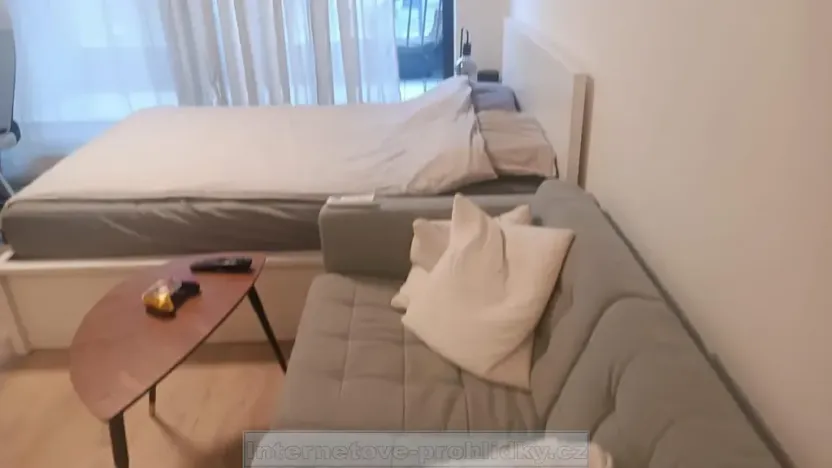 Pronájem bytu 1+kk, Praha - Vinoř, 32 m2