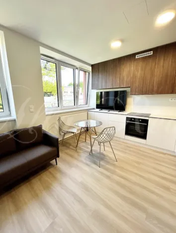 Pronájem bytu 1+kk, Brno - Štýřice, Sovinec, 30 m2