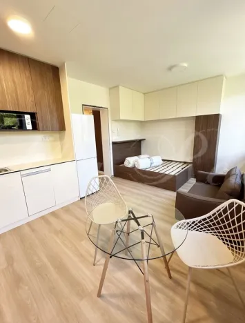 Pronájem bytu 1+kk, Brno - Štýřice, Sovinec, 30 m2