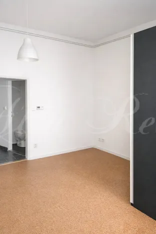 Pronájem bytu 1+1, Brno - Veveří, Štefánikova, 35 m2