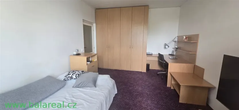 Pronájem bytu 1+1, Brno, Provazníkova, 35 m2