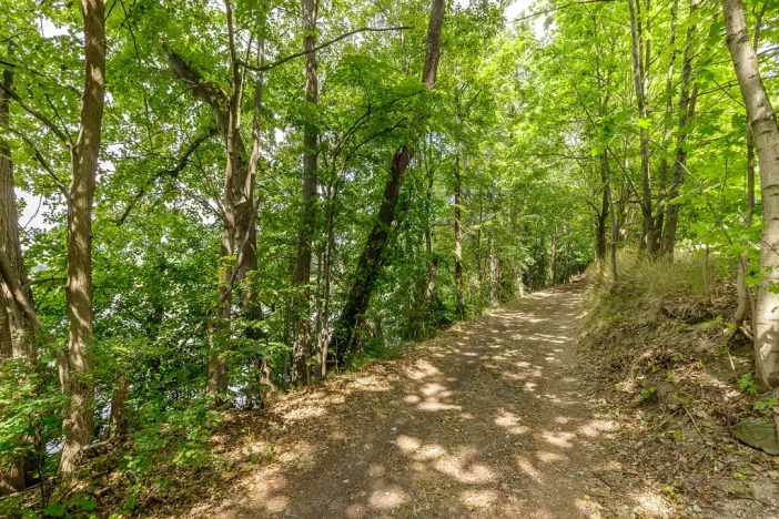 Prodej domu, Neveklov - Borovka, 550 m2