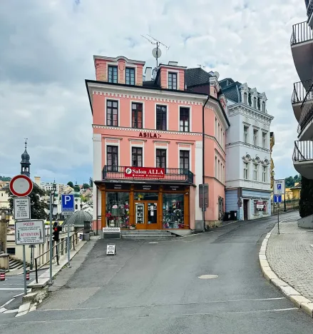 Pronájem apartmánu, Karlovy Vary, Zámecký vrch, 200 m2