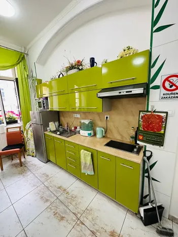Pronájem apartmánu, Karlovy Vary, Zámecký vrch, 200 m2
