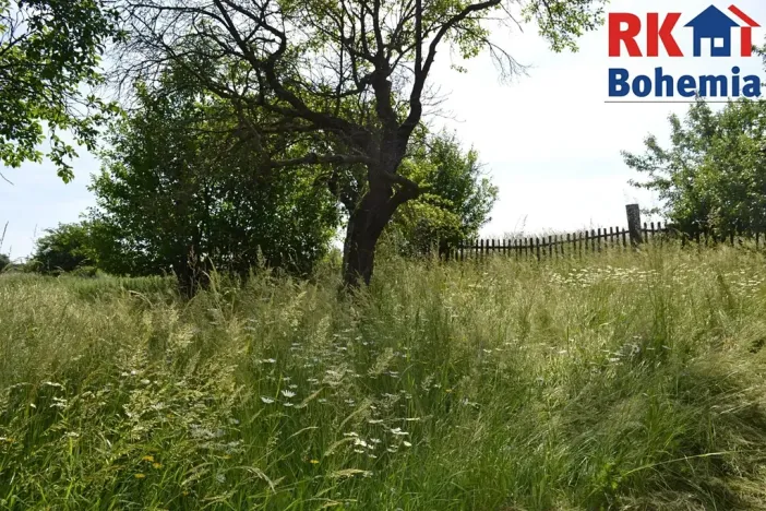 Prodej pozemku pro bydlení, Cholenice, 16365 m2