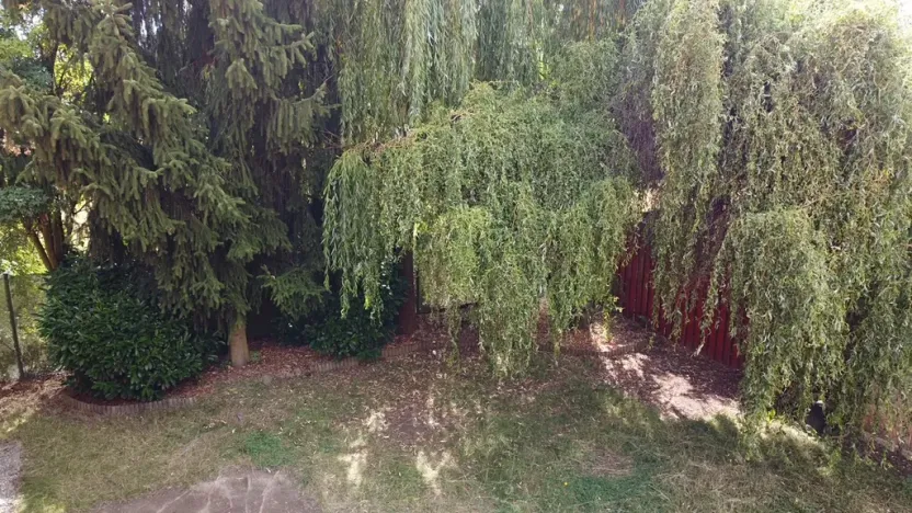 Prodej rodinného domu, Zvole, Přední, 230 m2