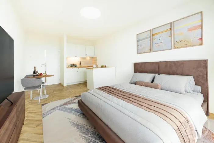 Pronájem bytu 1+kk, Ostrava - Zábřeh, Čujkovova, 28 m2