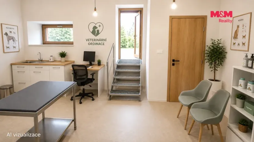 Pronájem kanceláře, Český Těšín, Masarykovy sady, 50 m2