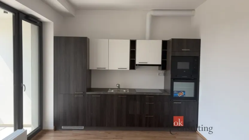 Pronájem bytu 1+kk, Plzeň - Jižní Předměstí, Železná, 34 m2
