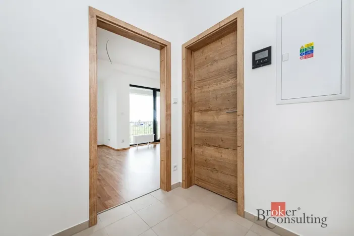 Pronájem bytu 1+kk, Plzeň - Jižní Předměstí, Železná, 34 m2