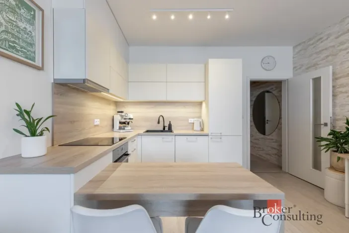 Pronájem bytu 1+kk, Brno - Ponava, Střední, 39 m2