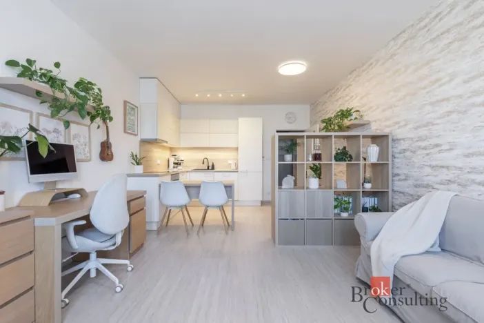 Pronájem bytu 1+kk, Brno - Ponava, Střední, 39 m2