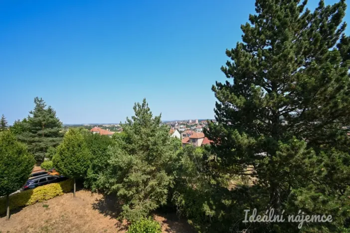 Pronájem bytu 2+1, Náměšť nad Oslavou, Zborovská, 48 m2