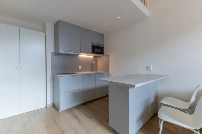 Pronájem bytu 1+kk, Praha - Holešovice, Na Maninách, 27 m2