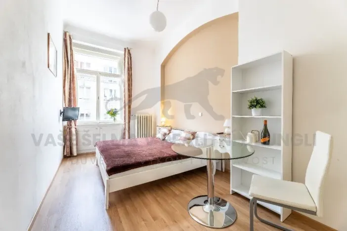 Pronájem bytu 1+kk, Praha - Nové Město, Vodičkova, 31 m2