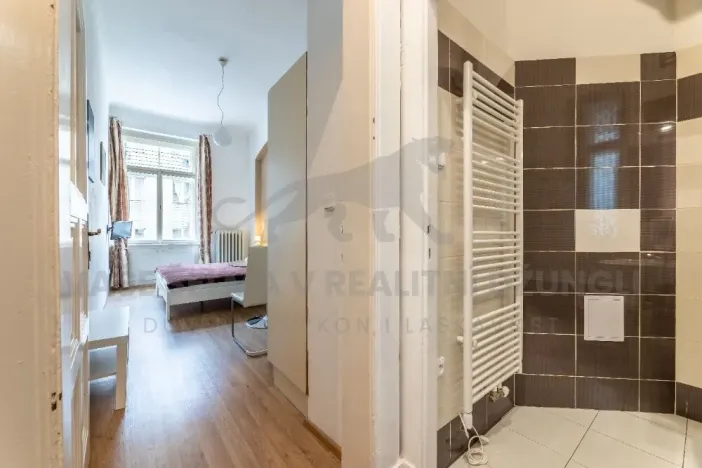 Pronájem bytu 1+kk, Praha - Nové Město, Vodičkova, 31 m2