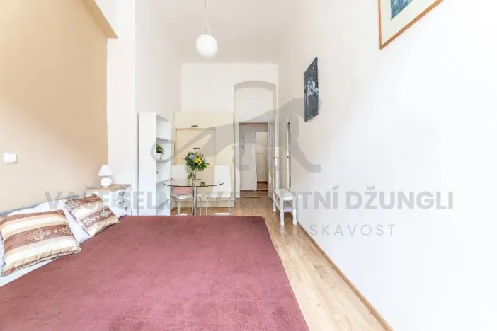 Pronájem bytu 1+kk, Praha - Nové Město, Vodičkova, 31 m2
