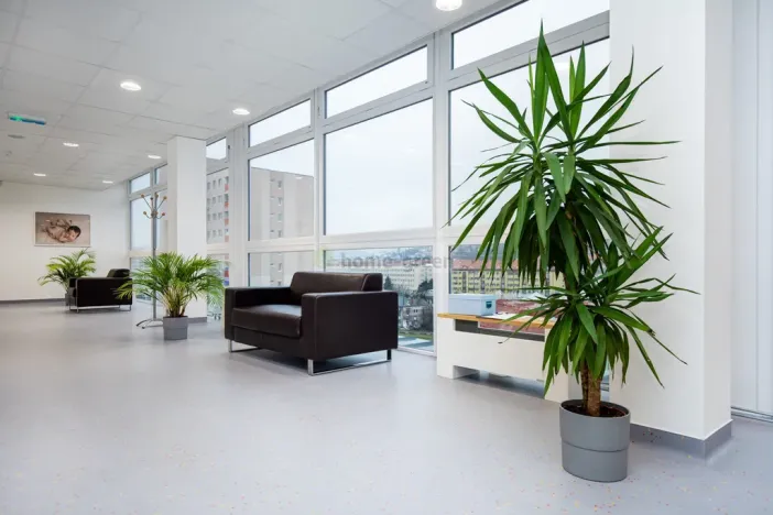 Prodej ordinace, Brno, 4000 m2