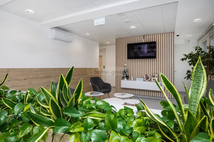 Prodej ordinace, Brno, 4000 m2