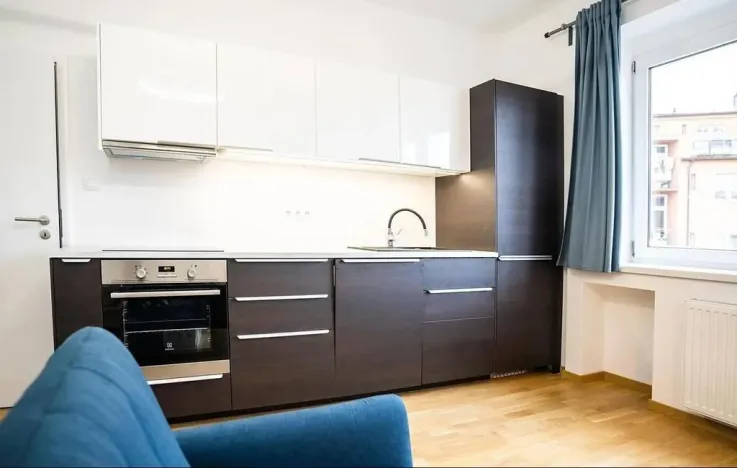 Pronájem bytu 1+kk, Praha - Nusle, U Pernštejnských, 33 m2