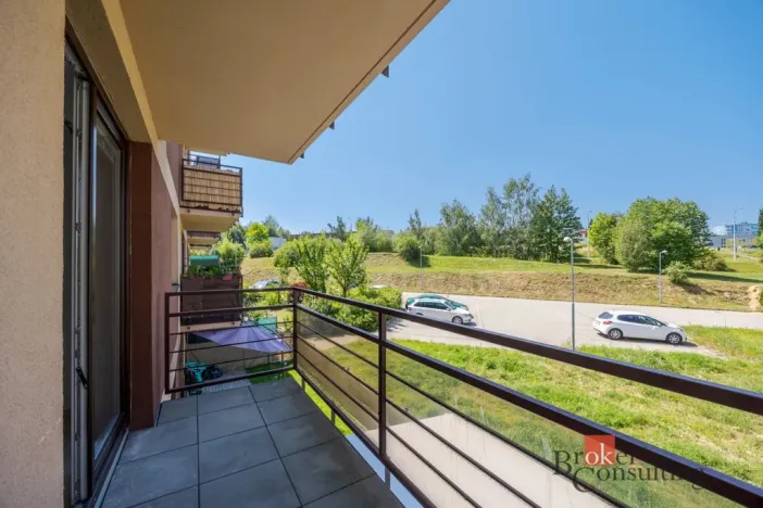 Pronájem bytu 1+kk, Jihlava, Halasova, 43 m2