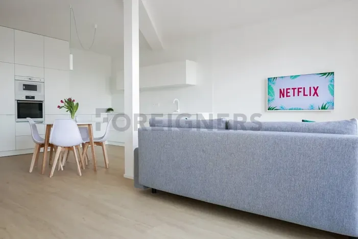 Pronájem bytu 3+kk, Brno, Mlýnská, 88 m2