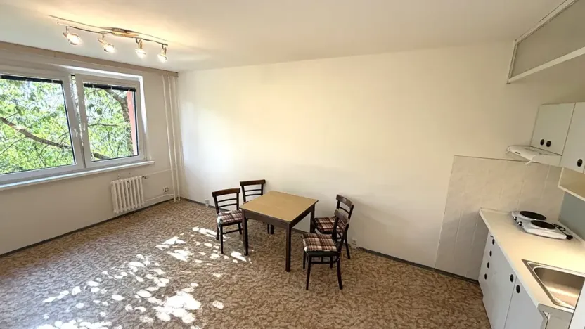 Pronájem bytu 1+kk, Praha - Chodov, Nad Opatovem, 30 m2