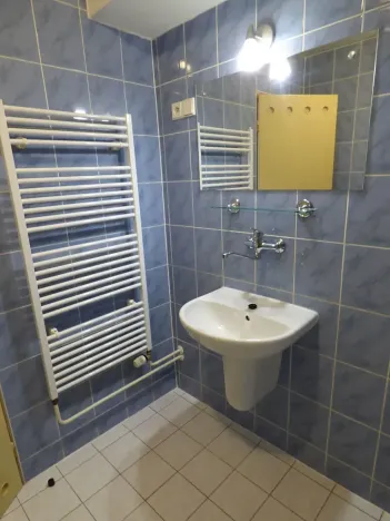 Pronájem bytu 1+kk, Brno, Heršpická, 23 m2