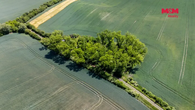 Prodej lesa, Libochovice - Dubany, 8199 m2