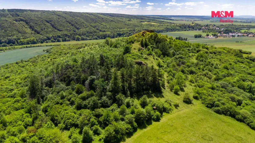 Prodej lesa, Libochovice - Dubany, 8199 m2