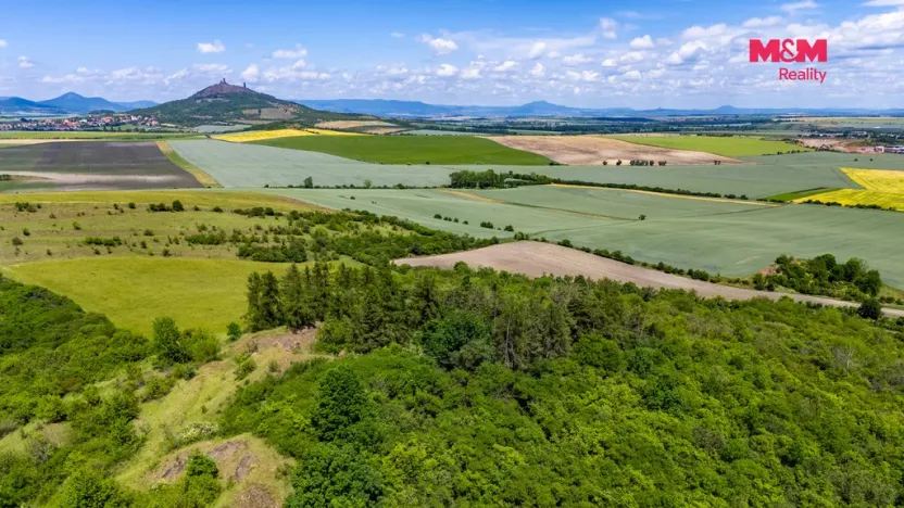 Prodej lesa, Libochovice - Dubany, 8199 m2
